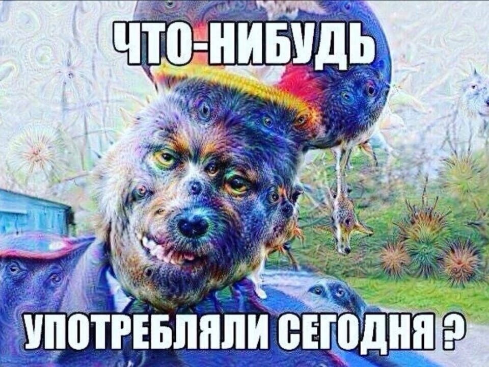 Ахахаха что это значит