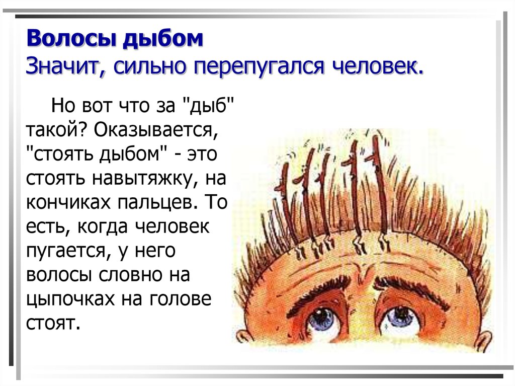 Что значит давать по шапке фразеологизм