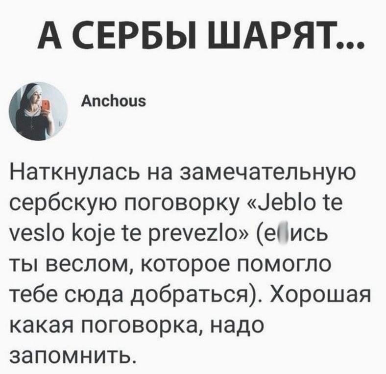 Что значит "jeblo te veslo koje te prevezlo" и как понять смысл этого выражения