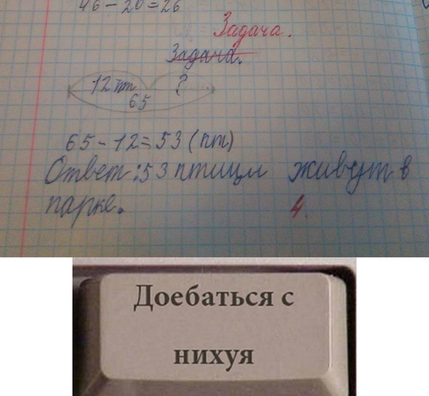 Какую роль играют оценки в жизни школьника?