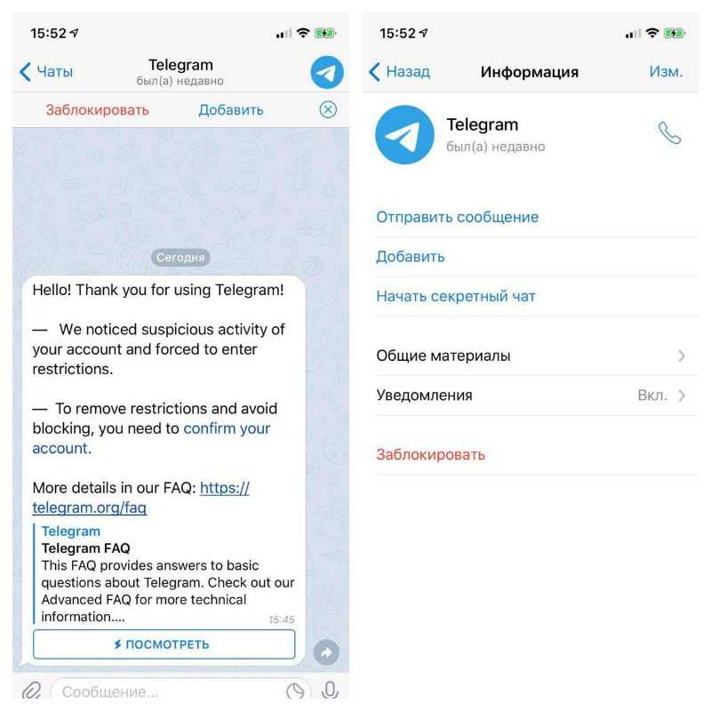 В каких странах популярен телеграмм: статистика аудитории и общее количество пользователей в мире, которые используют мессенджер