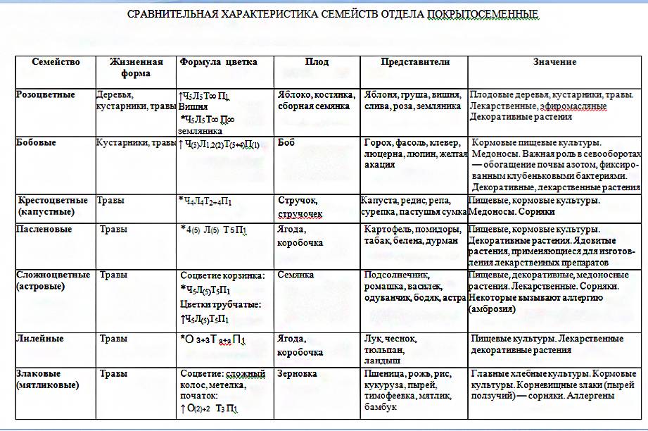 Биология пасечник учебник §14 | частная школа. 6 класс