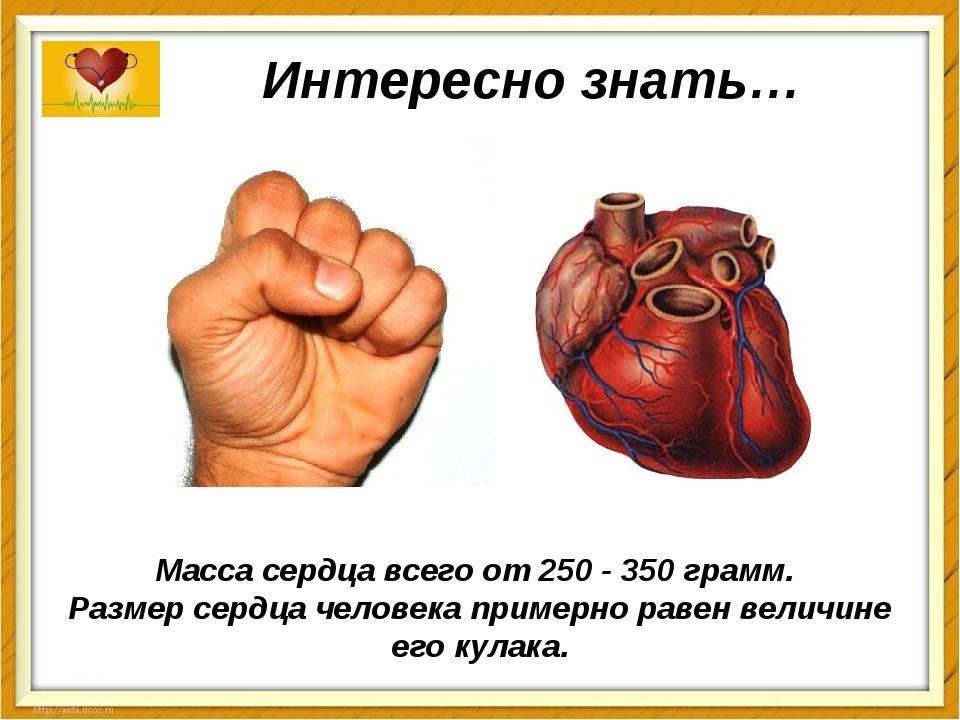 Аффект — что за состояние, причины, симптомы, опасность и лечение