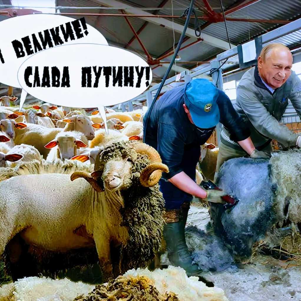 Убой животных и первичная переработка мясного сырья
