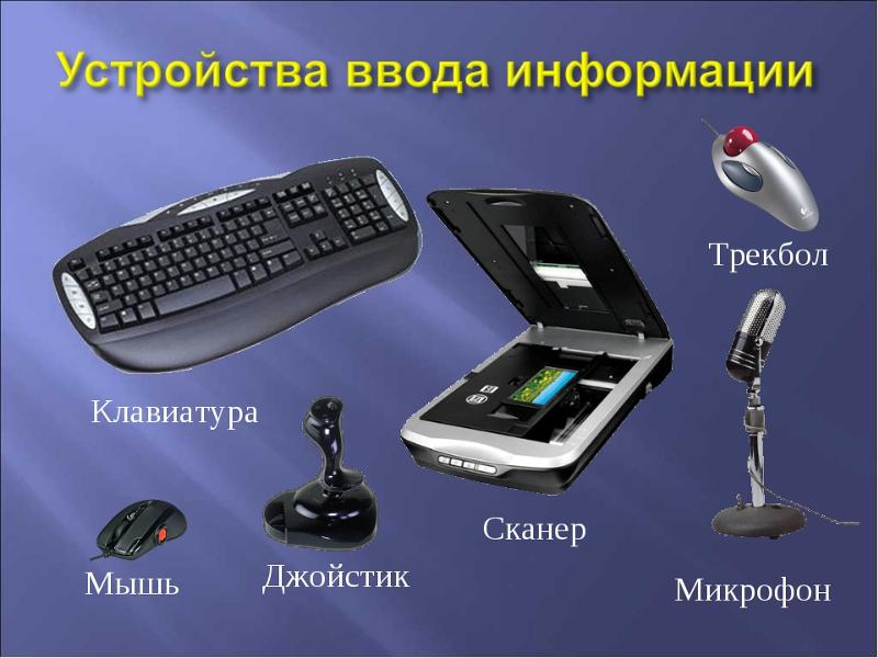 Какое устройство служит для ввода информации? изучаем основные способы ввода данных