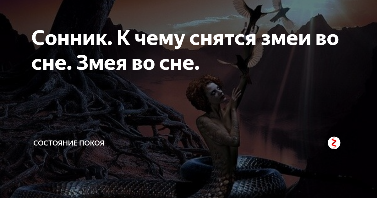 Откуда взялось выражение «жаба душит»