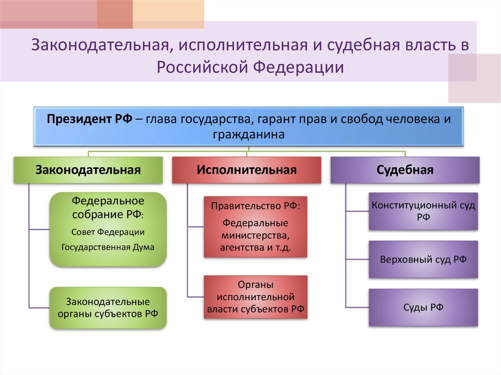 Является ли дирекция института органом исполнительной власти