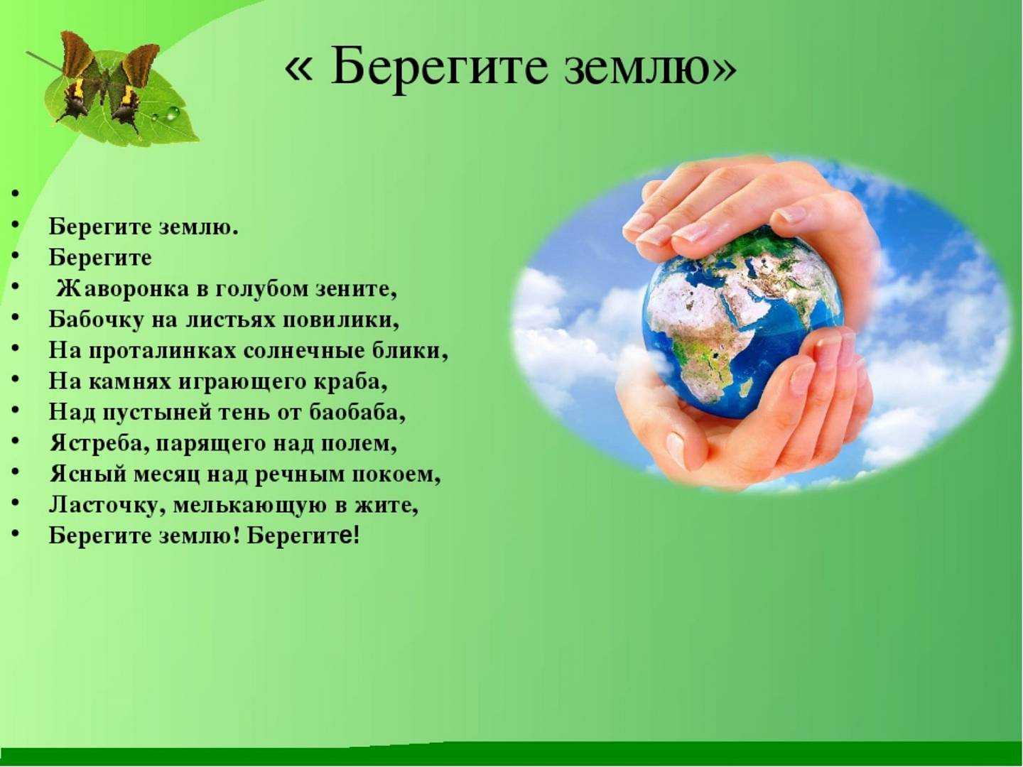 Био: что означает приставка и как она используется