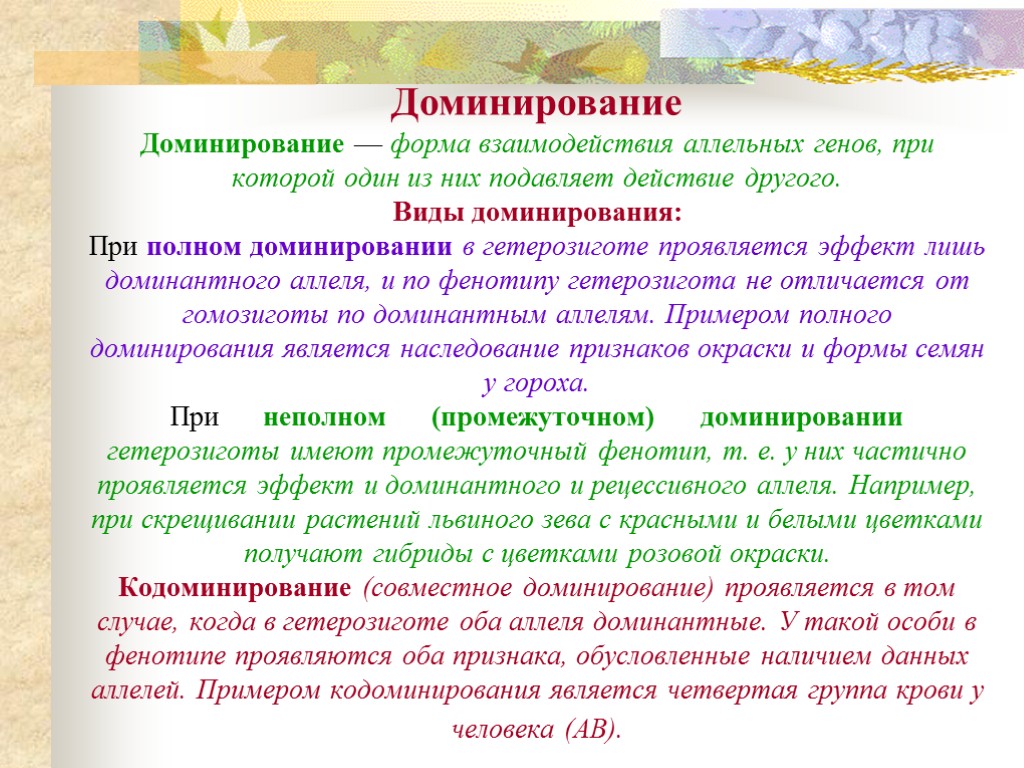 Доминирование и доминация: возникновение, особенности, принципы взаимодействия