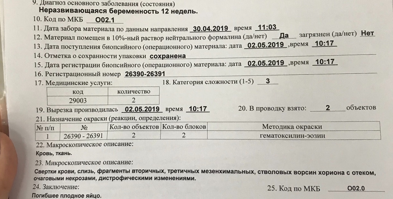 Гистологическое исследование 4 категории сложности: основные аспекты и интерпретация результатов