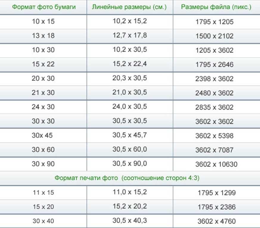 Фото на водительское удостоверение: требования 2024 года, размер