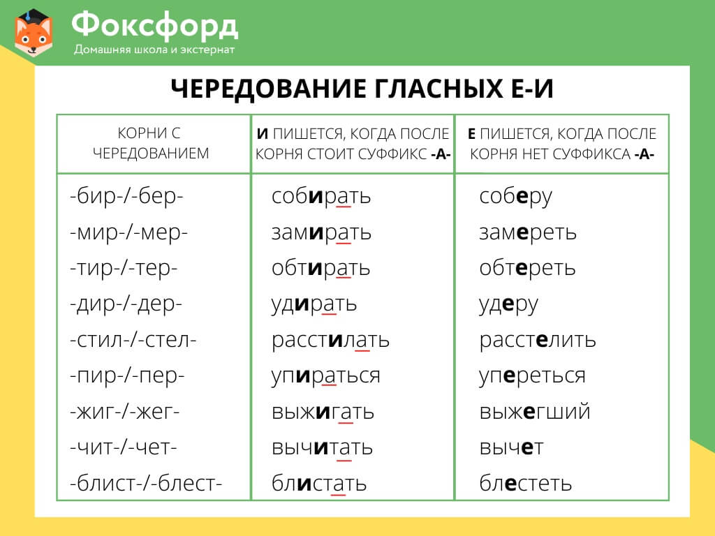 Жаргонизмы на основе переносных значений общеупотребительных слов