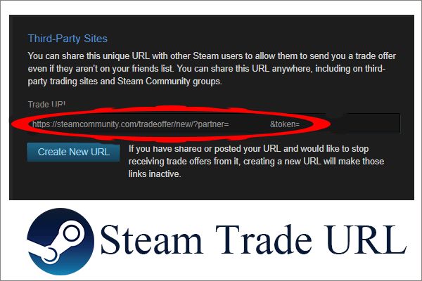 Как узнать свой домен в steam: подробное руководство для игроков