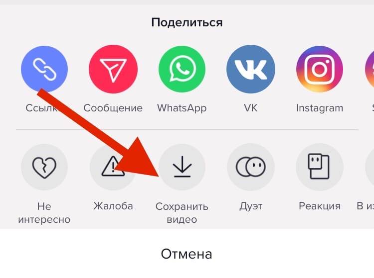 Платформа TikTok стала одной из самых популярных социальных сетей где пользователи обмениваются короткими видео Часто в этих видеороликах можно увидеть