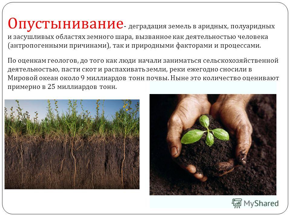 Разрушение и мелиорация почвы: причины деградации плодородного слоя, методы улучшения земли