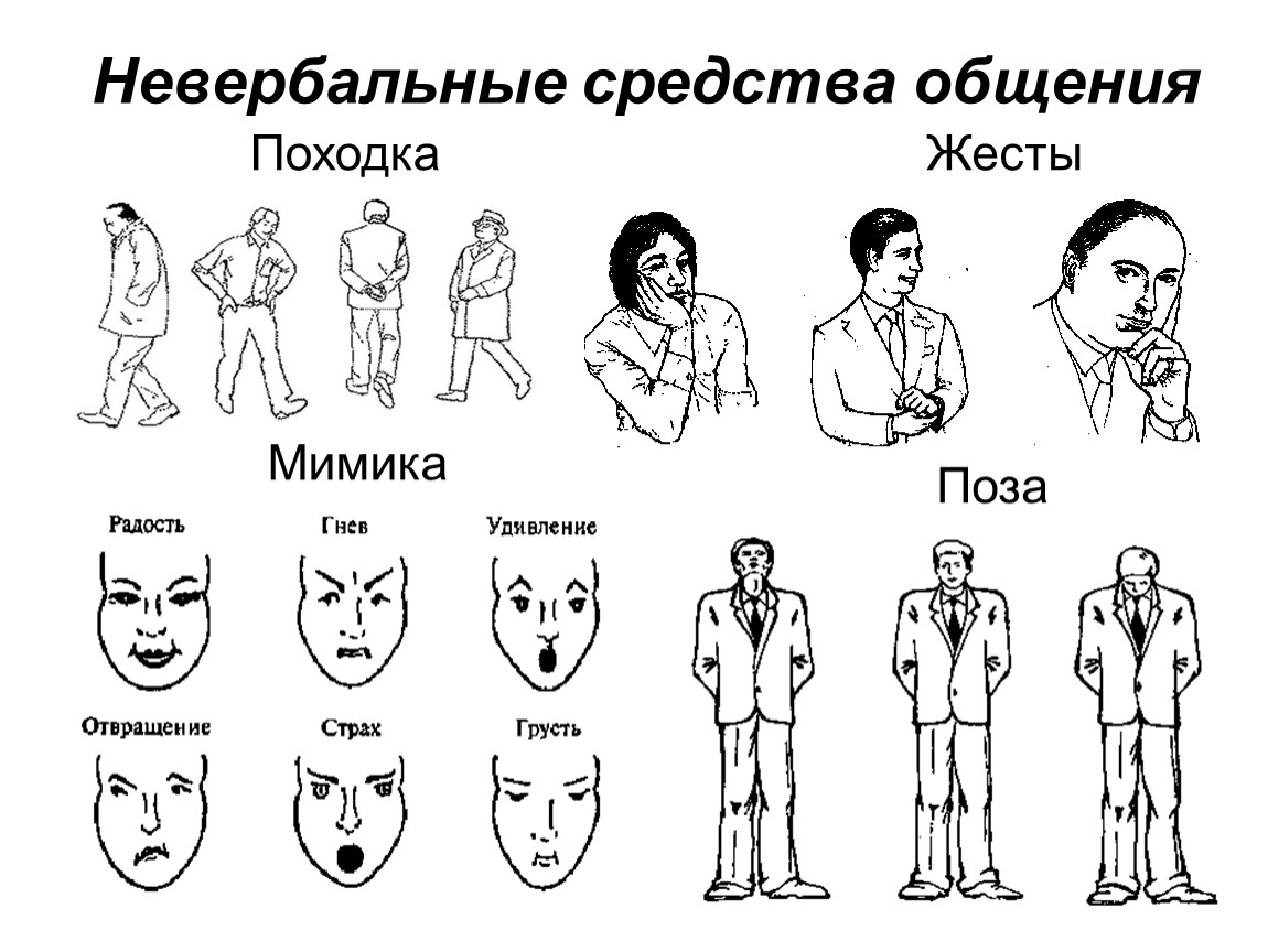 Как понять язык тела - wikihow