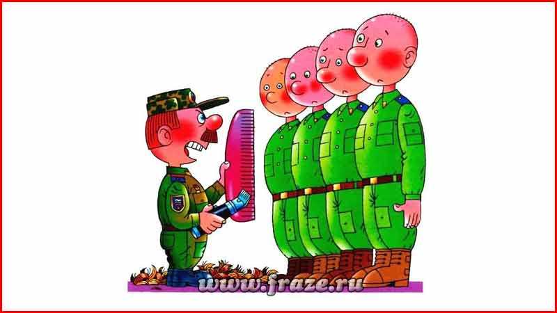 Узнайте, откуда пошел выражение "стричь под одну гребенку"