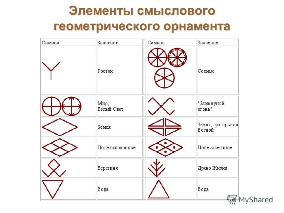 Борзые: 20 главных пород, охота с борзыми