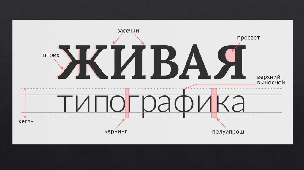 Как подобрать правильный шрифт для своего дизайна