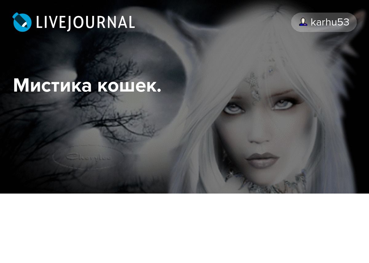 Кошки считаются одними из самых загадочных существ на планете Они связаны со множеством предрассудков и суеверий Одно из самых популярных поверий