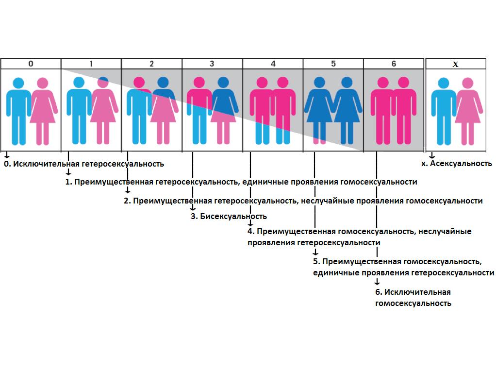 Самые частые вопросы о сексуальном разнообразии и гендерной идентичности. словарь терминов
