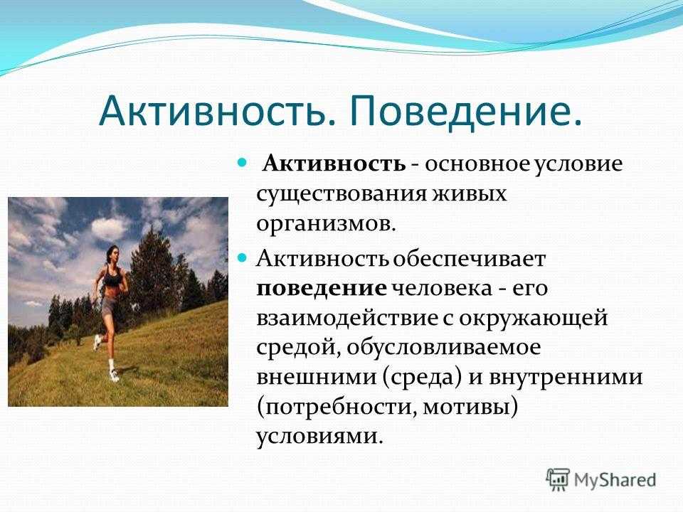 Активы и пассивы - что это такое? объясняю простыми словами