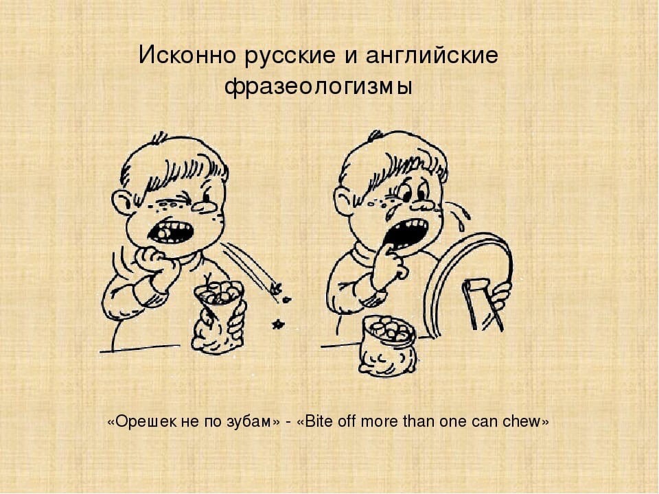 Фразеологизмы и фразеологизированные обороты, заимствованные из других языков. фразеологизмы,заимствованные из других стран