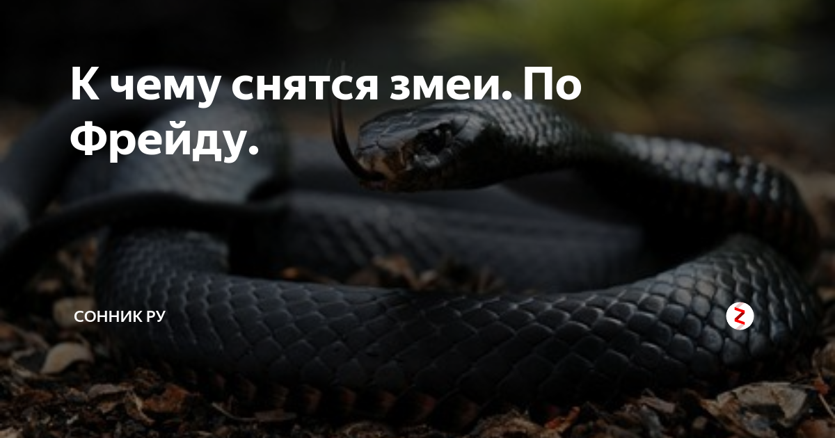 Каково значение выражения "тащится как удав по стекловате" и как его расшифровать? - oboiduvse.ru