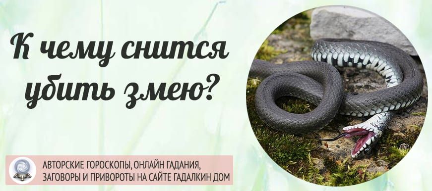 Выражение душить змея является крылатой фразой которую мы часто слышим в различных контекстах Это выражение используется в переносном смысле чтобы