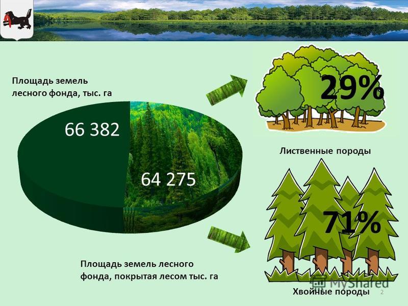 Сколько процентов земли изучено: статистика на сегодняшний день