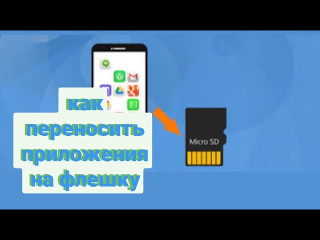 Носитель информации: определение, виды и примеры