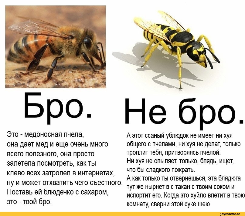“всем привет! я использую whatsapp” – как убрать статус