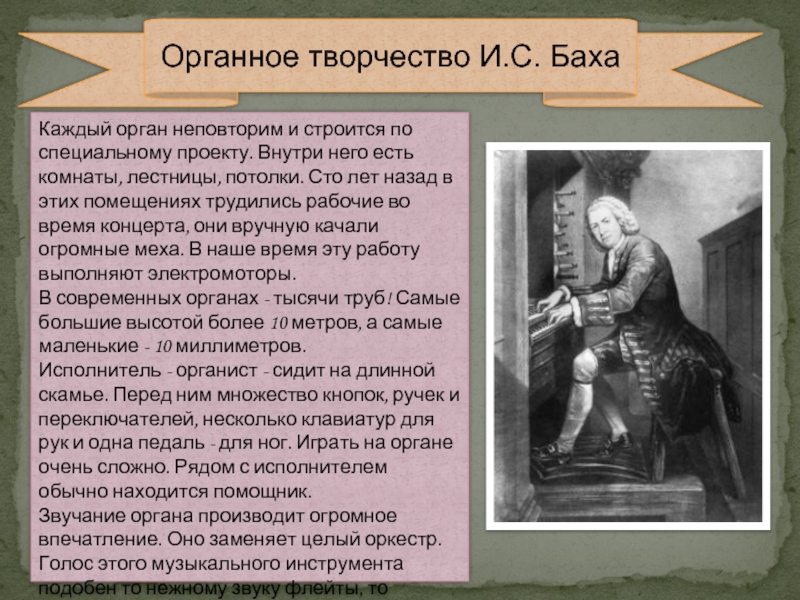 Органное творчество баха
