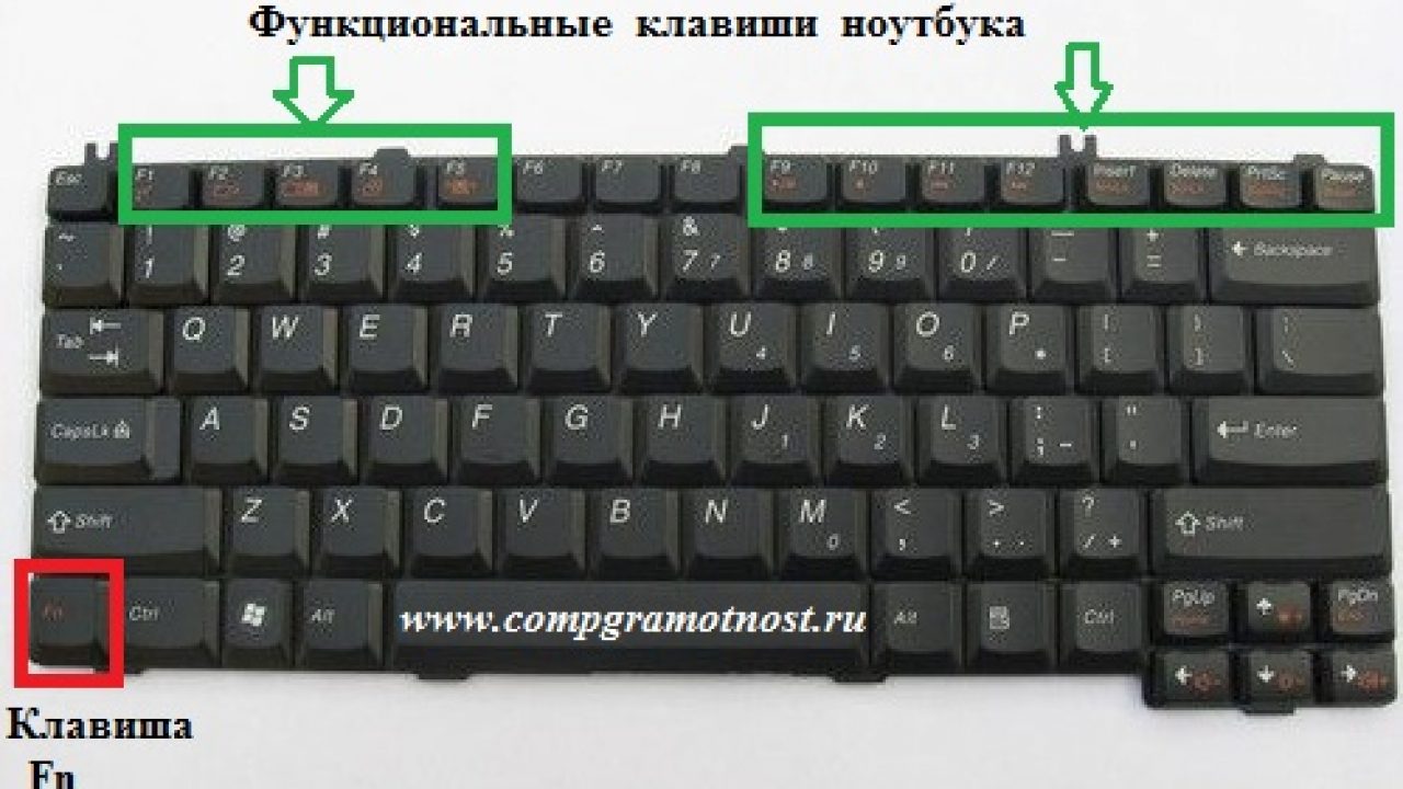 Устройства ввода компьютера. устройства управления компьютером