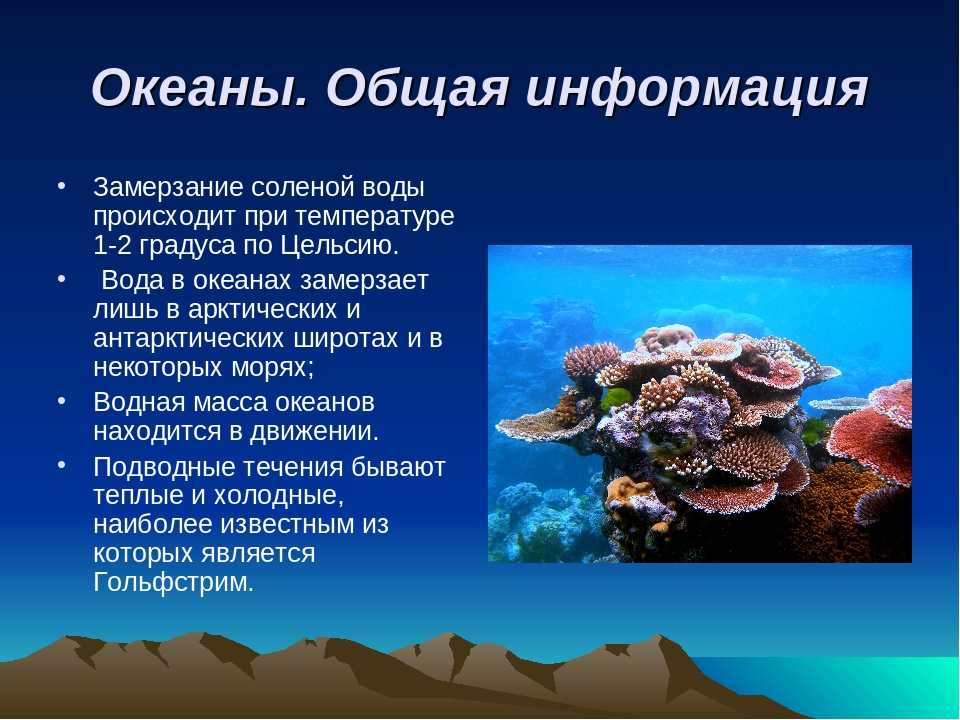 Покрытие поверхности земли океаном: процентное соотношение