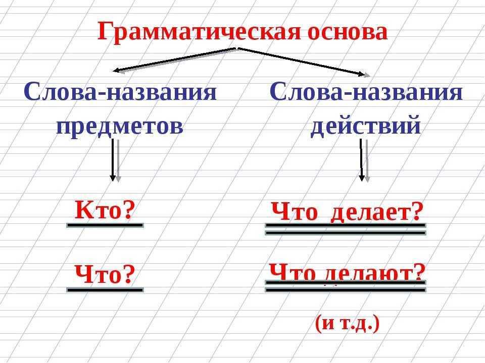 Две грамматические основы это понятие которое широко используется в лингвистике для описания структуры предложений Оно относится к основным
