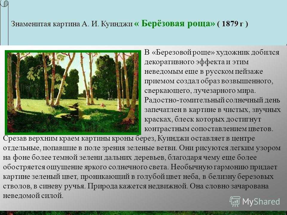 О пользе березы