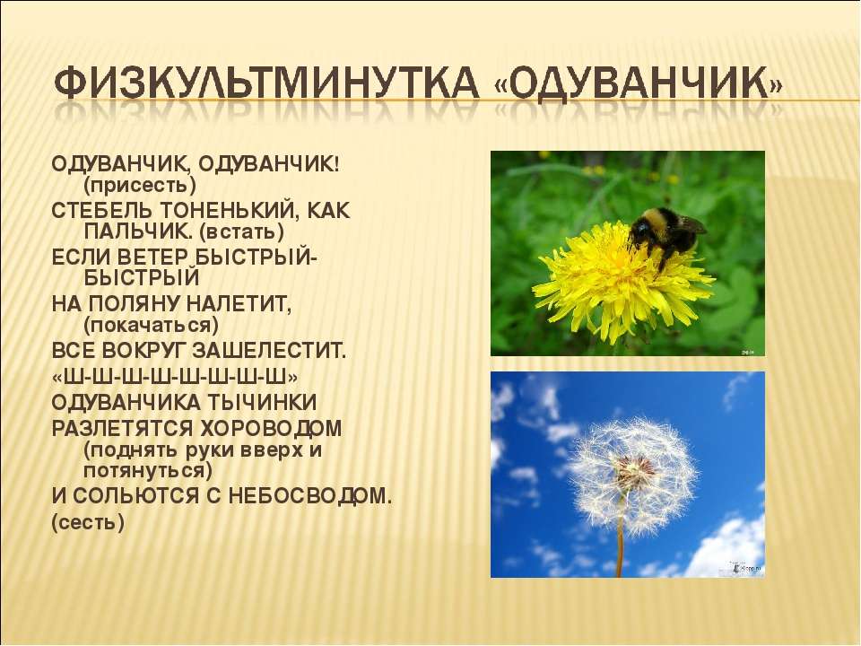 История происхождения выражения "божий одуванчик" в фольклоре и литературе