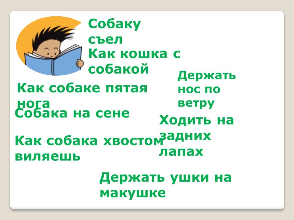 Что означает выражение «держи нос по ветру, хвост пистолетом»