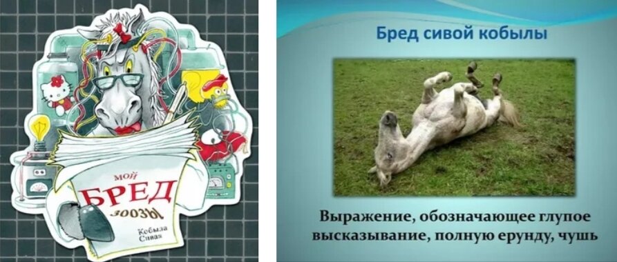 Беседа 17. священные писания: бред собачий