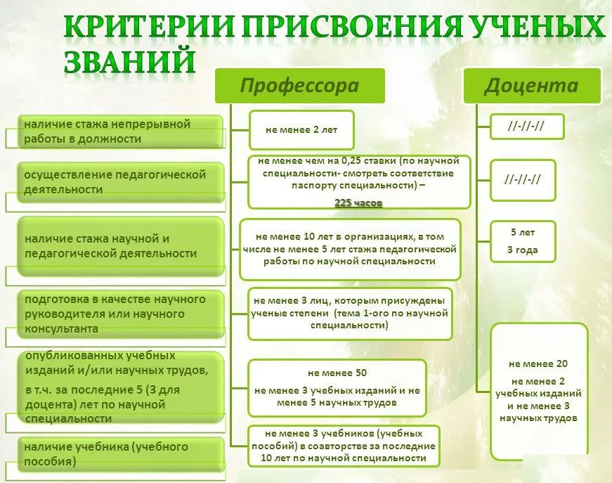 Ассистент при кафедре: задачи, функции и обязанности