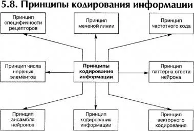 Зачем нужна двоичная система кодирования и как она используется?