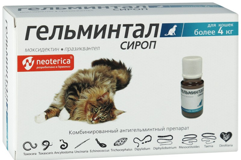 Кто такие эктопаразиты у собак и как обрабатывать от них животное – какие есть средства от эктопаразитов у собак