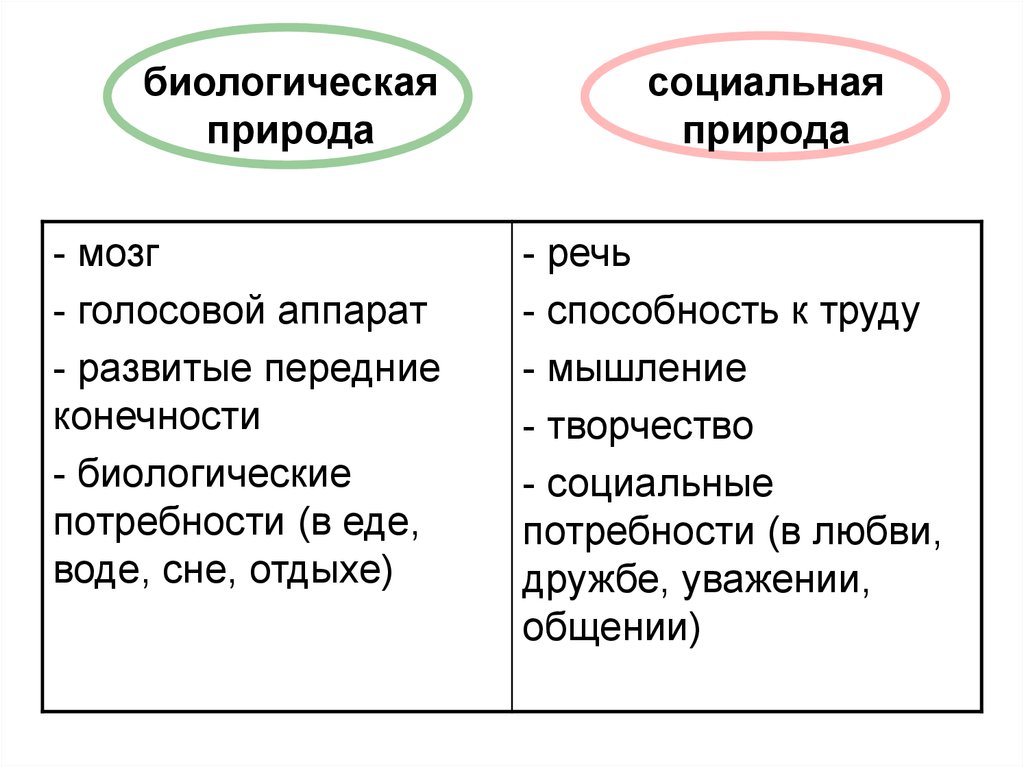 Что нужно знать о видах в биологии — основные сведения