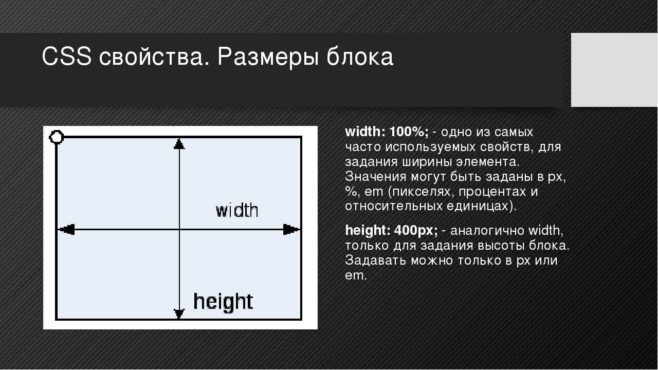 Что такое размер std шапка: все, что нужно знать
