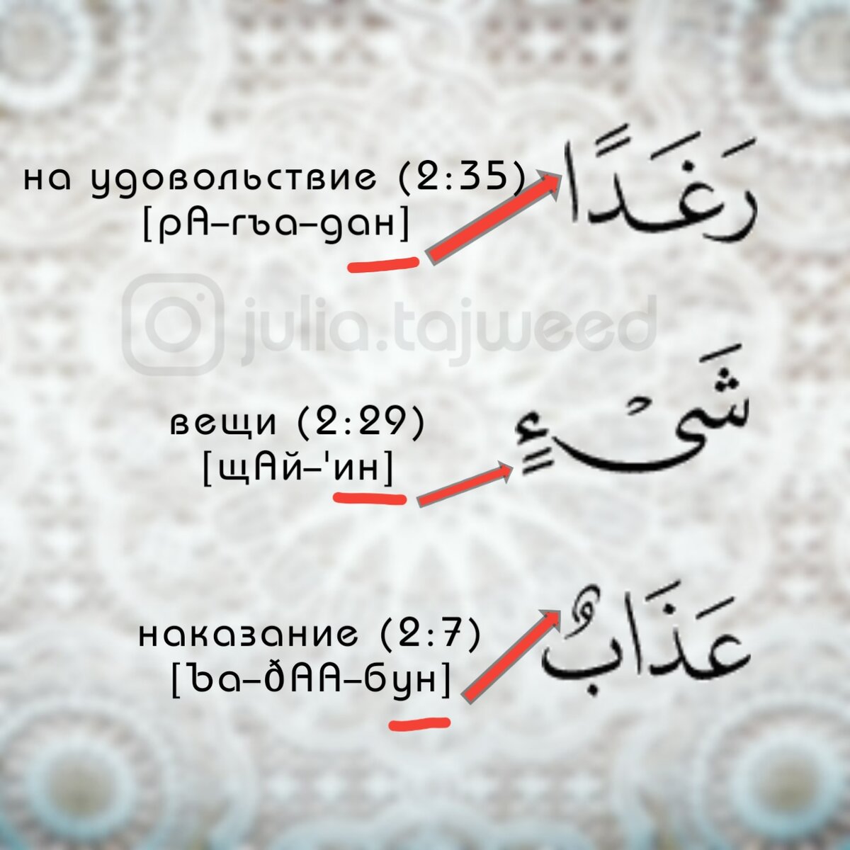 Зачем нужен номер 113: важность и функции объясняются