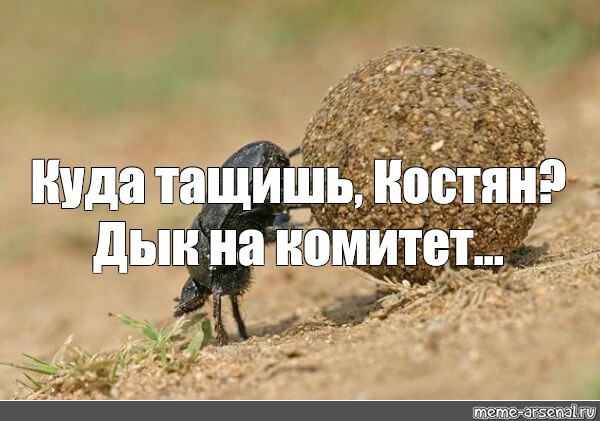 Мухожук — неолурк, народный lurkmore