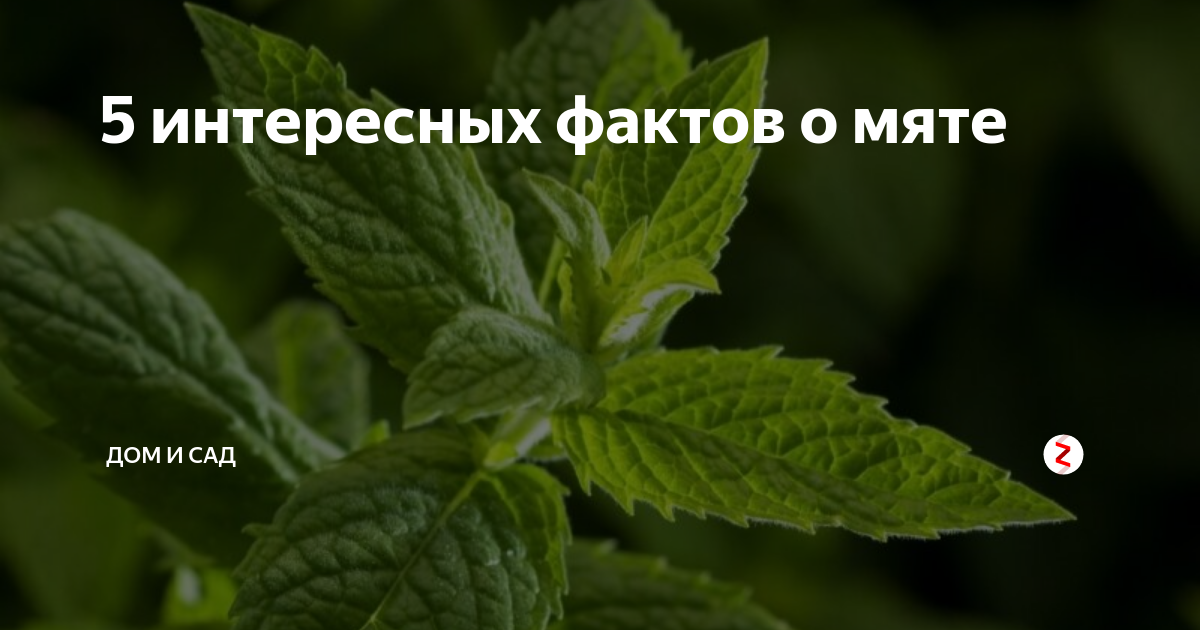 Символ в информатике — это знак, графический заменитель объекта, обозначающий его, являющийся элементом системы построения символьных сообщений.