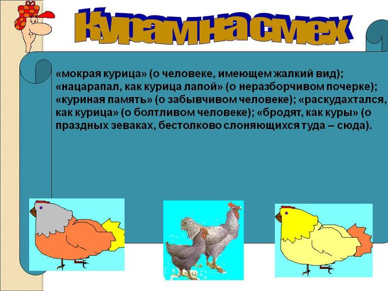 Что значит "тыковка моя": объяснение значимости и применения популярного выражения