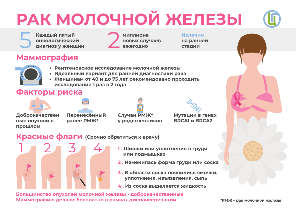 Рентгенография молочной железы: что это такое, когда требуется, противопоказания